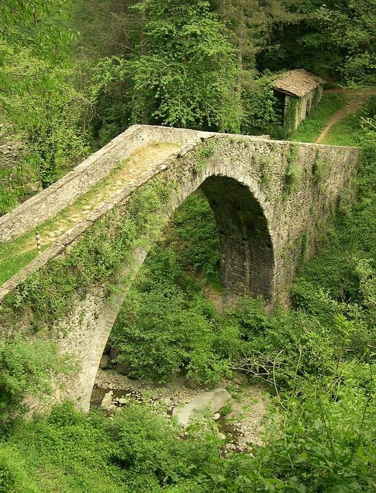 B&B Il Casale Delle Pianacce Castiglione di Garfagnana Exterior photo